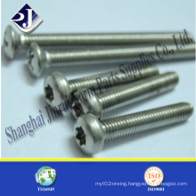 Made in China T5 Torx Screw